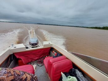 Bermuda Linx - Evinrude 90hp