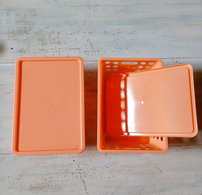 Cajas plástica con tapa