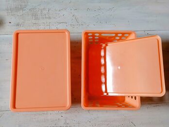 Cajas plástica con tapa