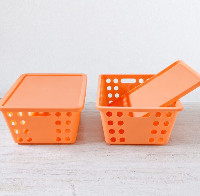 Cajas plástica con tapa