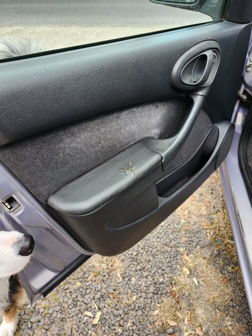 Vendo Citroën Xsara 2004 HDI 134.000 km,  Francés. (No permuto)