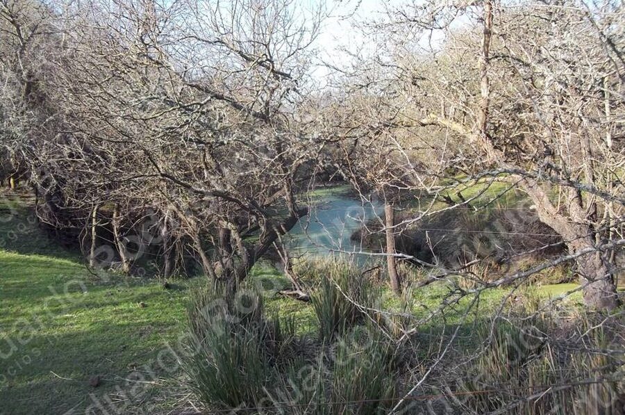 En venta 235has de campo - zona Las Tunas - Entre Ríos