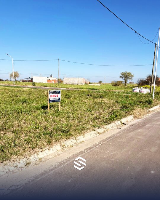 LOTE EN SOL A SOL ORO VERDE