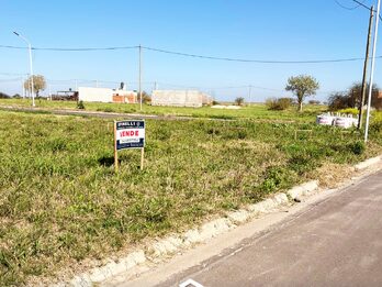 LOTE EN SOL A SOL ORO VERDE