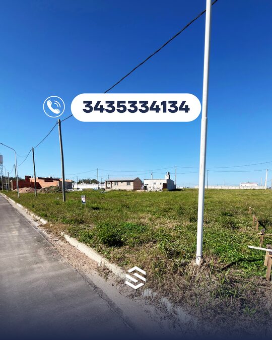 LOTE EN SOL A SOL ORO VERDE