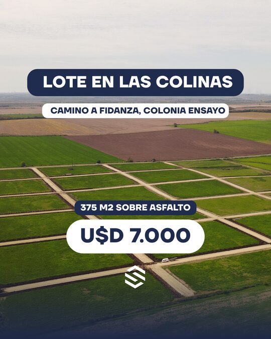 LOTE CAMINO A FIDANZAM, COLONIA ENSAYO