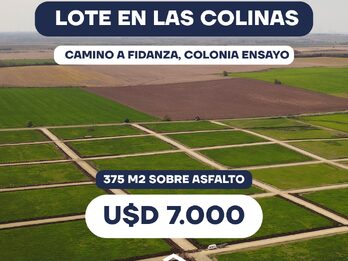 LOTE CAMINO A FIDANZAM, COLONIA ENSAYO
