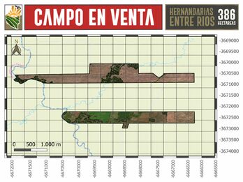 Venta Campo 386 Ha Hernandarias Entre Ríos Agrícola Ganadero