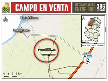 Venta Campo 386 Ha Hernandarias Entre Ríos Agrícola Ganadero
