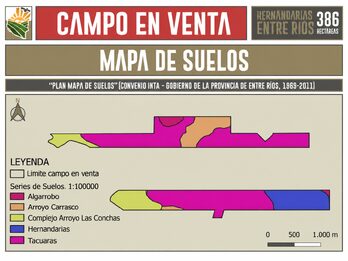 Venta Campo 386 Ha Hernandarias Entre Ríos Agrícola Ganadero