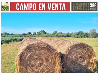 Venta Campo 386 Ha Hernandarias Entre Ríos Agrícola Ganadero