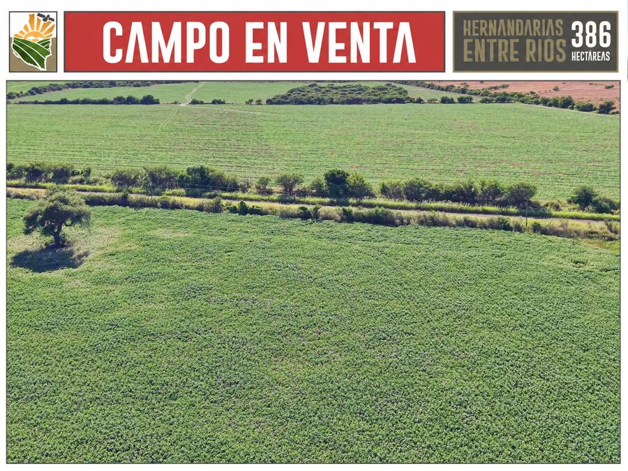 Venta Campo 386 Ha Hernandarias Entre Ríos Agrícola Ganadero