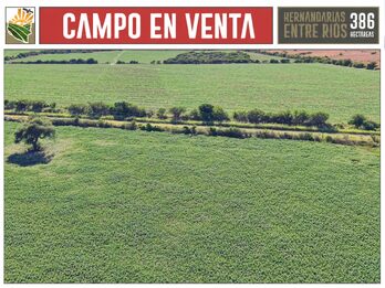 Venta Campo 386 Ha Hernandarias Entre Ríos Agrícola Ganadero