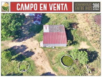 Venta Campo 386 Ha Hernandarias Entre Ríos Agrícola Ganadero