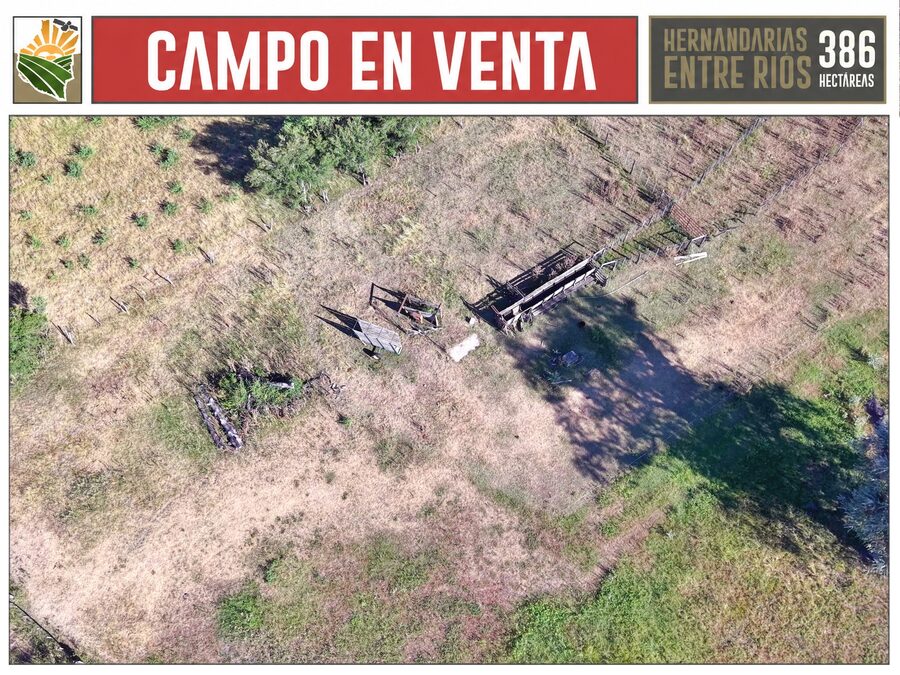 Venta Campo 386 Ha Hernandarias Entre Ríos Agrícola Ganadero