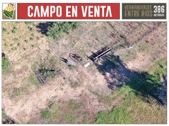 Venta Campo 386 Ha Hernandarias Entre Ríos Agrícola Ganadero