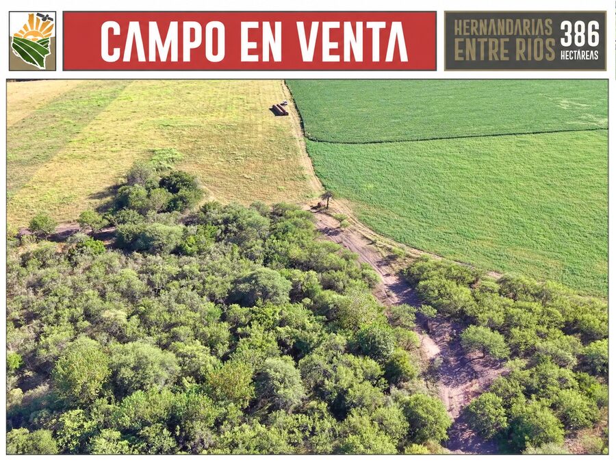 Venta Campo 386 Ha Hernandarias Entre Ríos Agrícola Ganadero