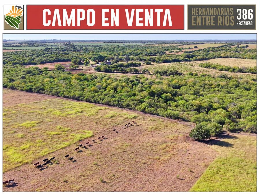 Venta Campo 386 Ha Hernandarias Entre Ríos Agrícola Ganadero