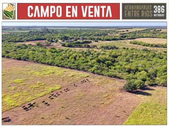 Venta Campo 386 Ha Hernandarias Entre Ríos Agrícola Ganadero
