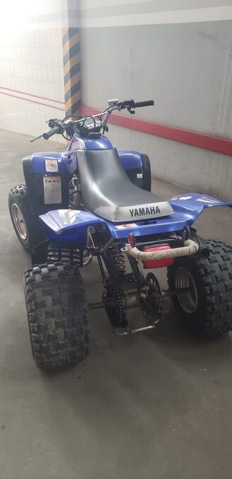 Yamaha Warrior