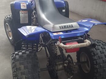 Yamaha Warrior