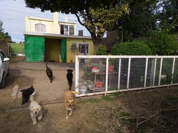 VENDO INPORTANTE PROPIEDAD CASA,CON DEPARTAMENTO,TERRENO GALPON,SALONES
