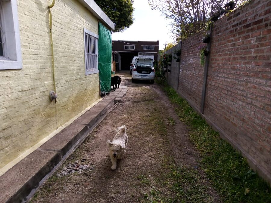 VENDO INPORTANTE PROPIEDAD CASA,CON DEPARTAMENTO,TERRENO GALPON,SALONES
