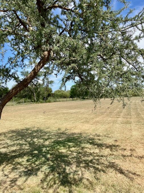 Lote en Oro Verde 17.5 x 90m