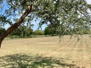 Lote en Oro Verde 17.5 x 90m