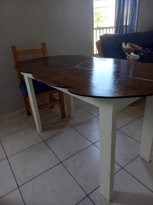 Vendo por mudanza