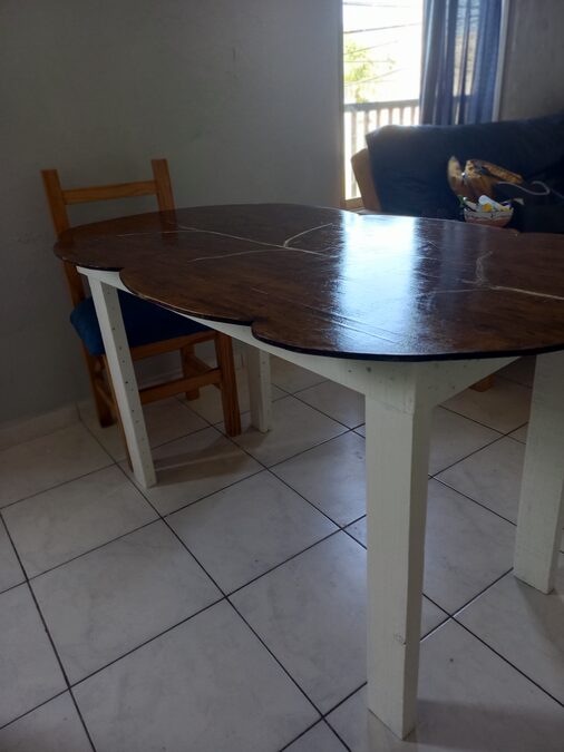 Vendo por mudanza