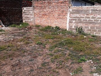 Alquila Casa calle El Chañar casi Caputto