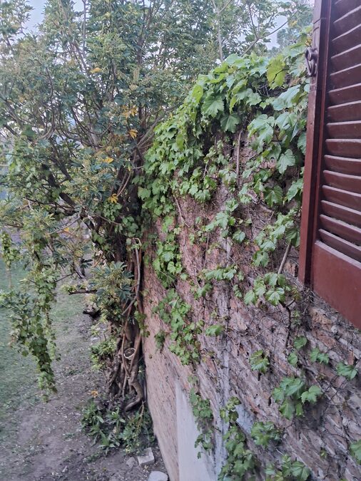 Casa 3 dormitorios calle N. RANDISI