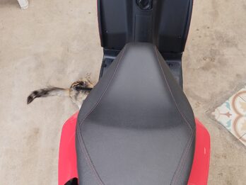 Vendo moto Aprilia 160 sr