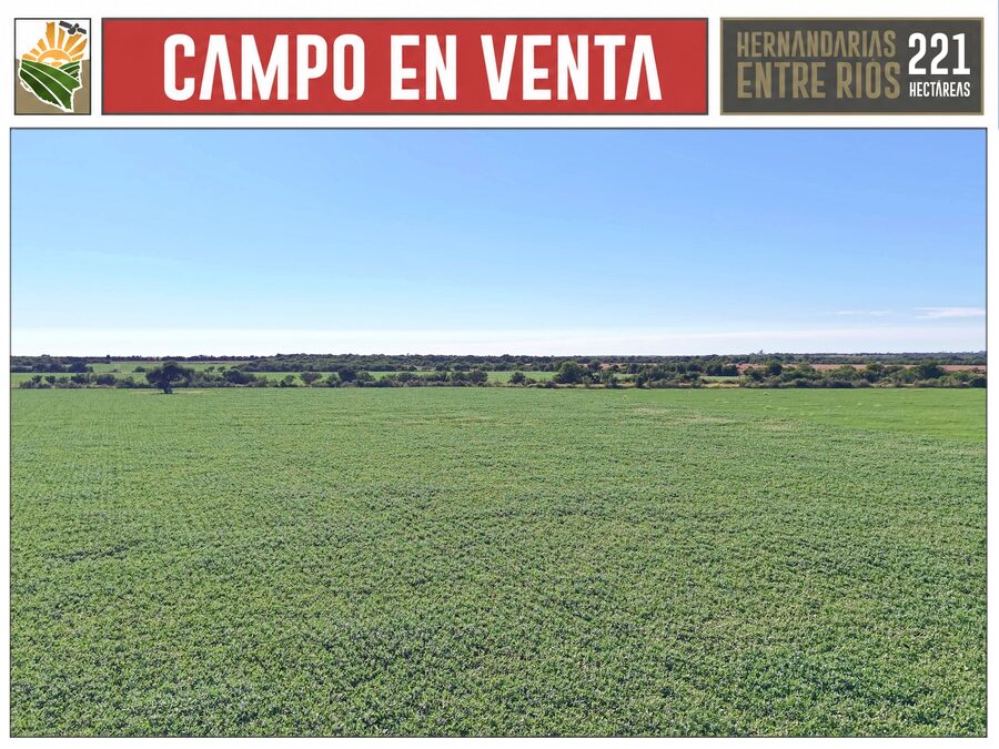 CAMPO AGRÍCOLA en Venta en Hernandarias (221 HA): 76% APROVECHABLE y Suelos MOLISOLES 🚜🌾