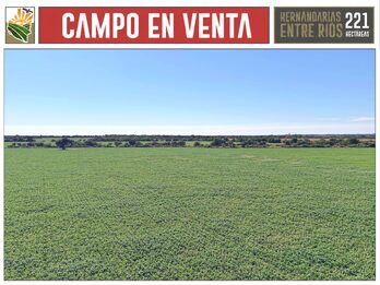 CAMPO AGRÍCOLA en Venta en Hernandarias (221 HA): 76% APROVECHABLE y Suelos MOLISOLES 🚜🌾