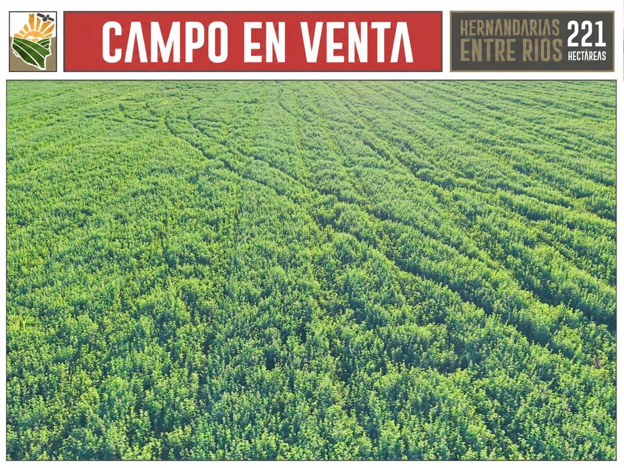 CAMPO AGRÍCOLA en Venta en Hernandarias (221 HA): 76% APROVECHABLE y Suelos MOLISOLES 🚜🌾