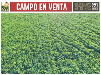 CAMPO AGRÍCOLA en Venta en Hernandarias (221 HA): 76% APROVECHABLE y Suelos MOLISOLES 🚜🌾