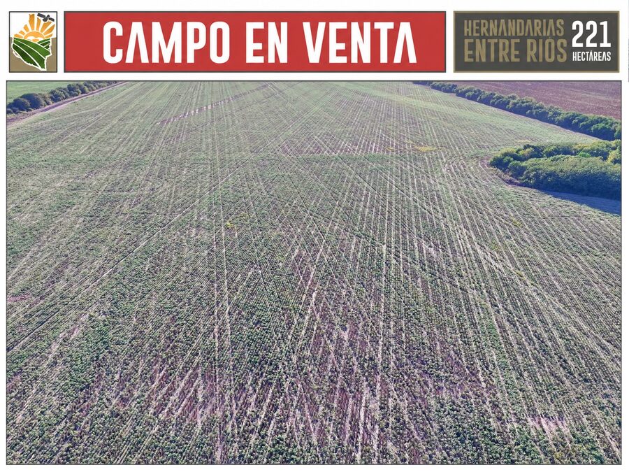 CAMPO AGRÍCOLA en Venta en Hernandarias (221 HA): 76% APROVECHABLE y Suelos MOLISOLES 🚜🌾