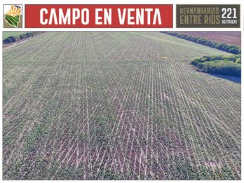 CAMPO AGRÍCOLA en Venta en Hernandarias (221 HA): 76% APROVECHABLE y Suelos MOLISOLES 🚜🌾