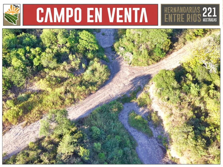 CAMPO AGRÍCOLA en Venta en Hernandarias (221 HA): 76% APROVECHABLE y Suelos MOLISOLES 🚜🌾