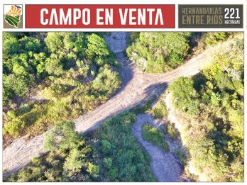 CAMPO AGRÍCOLA en Venta en Hernandarias (221 HA): 76% APROVECHABLE y Suelos MOLISOLES 🚜🌾
