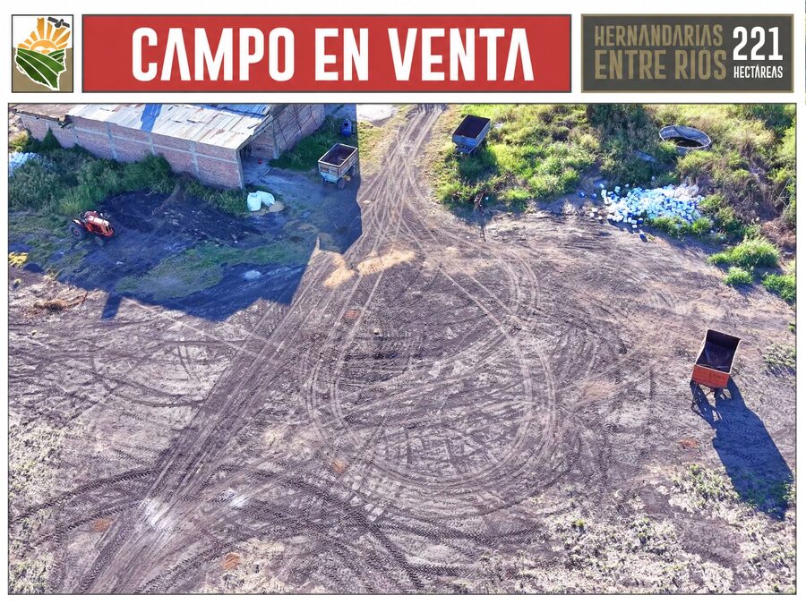 CAMPO AGRÍCOLA en Venta en Hernandarias (221 HA): 76% APROVECHABLE y Suelos MOLISOLES 🚜🌾