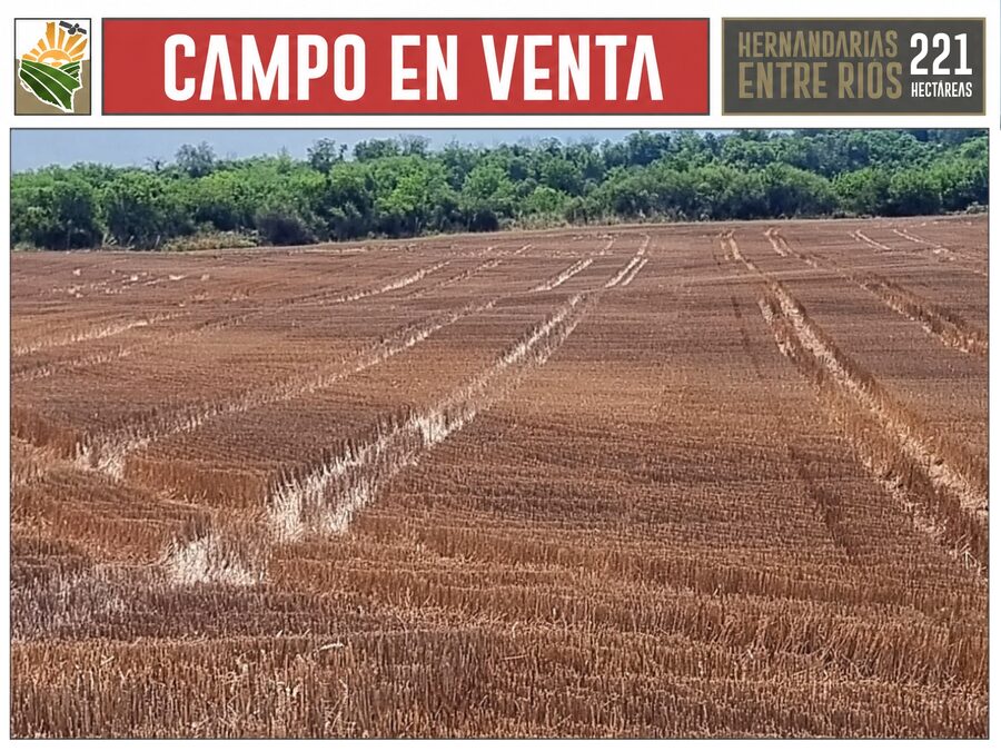 CAMPO AGRÍCOLA en Venta en Hernandarias (221 HA): 76% APROVECHABLE y Suelos MOLISOLES 🚜🌾