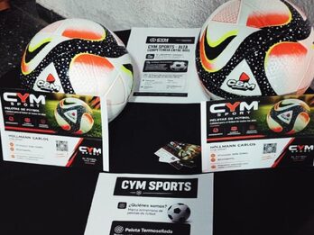 VENDO PELOTA PROFESIONAL N° 5 !!!