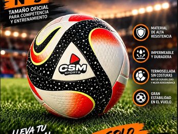 VENDO PELOTA PROFESIONAL N° 5 !!!