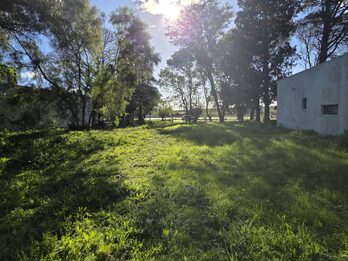 TERRENO RUTA 12 Y ACCESO NORTE - LAS ACACIAS
