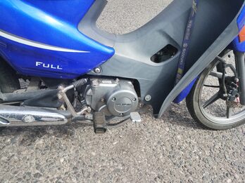 Vendo trip