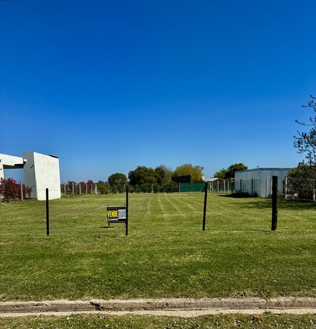Terreno 20 x 50m Oro Verde