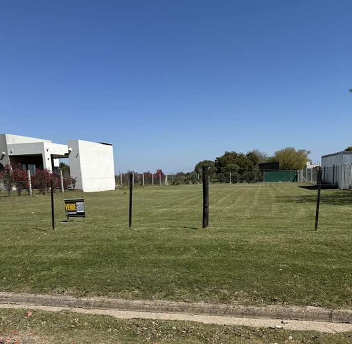 Terreno 20 x 50m Oro Verde